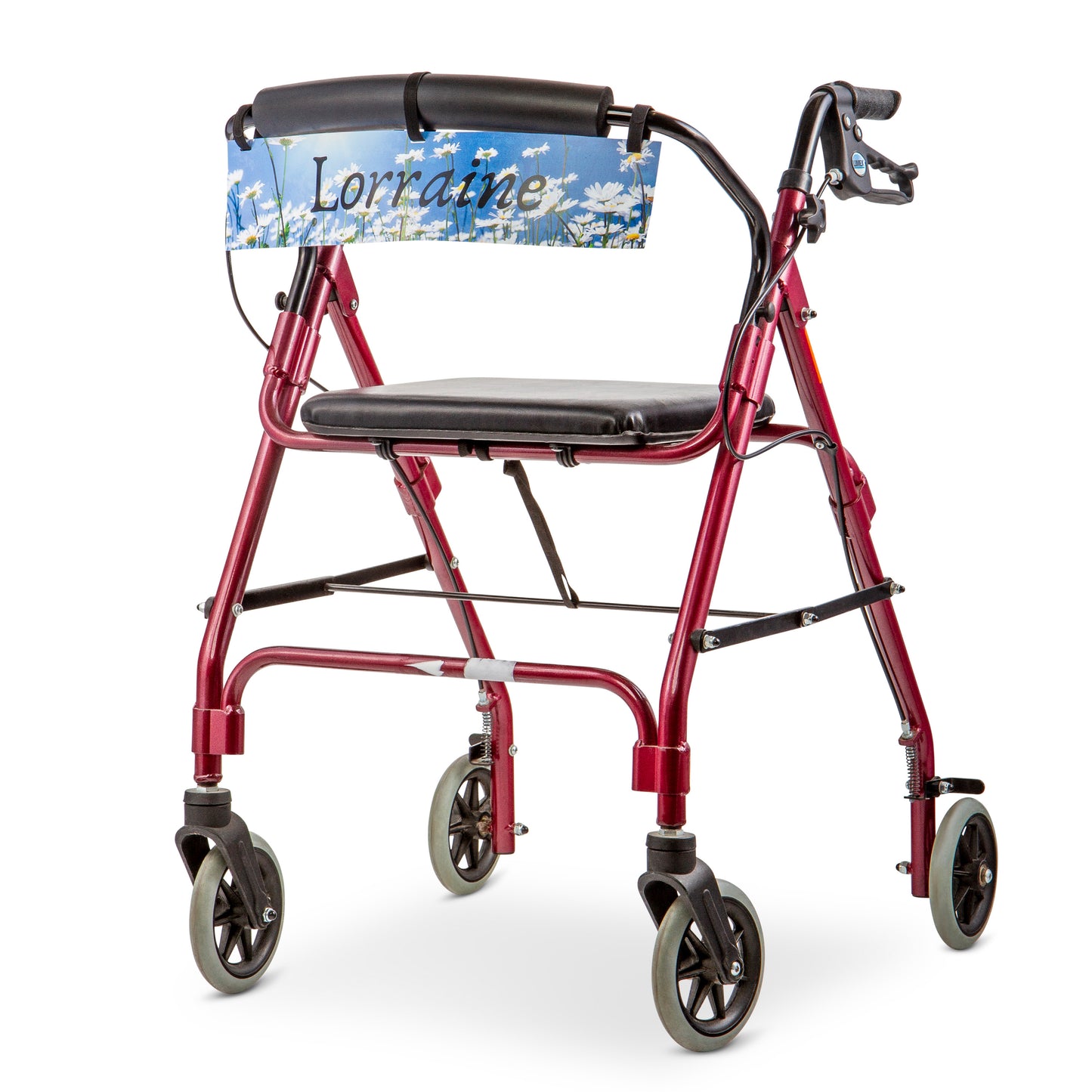 Daisies walker banner