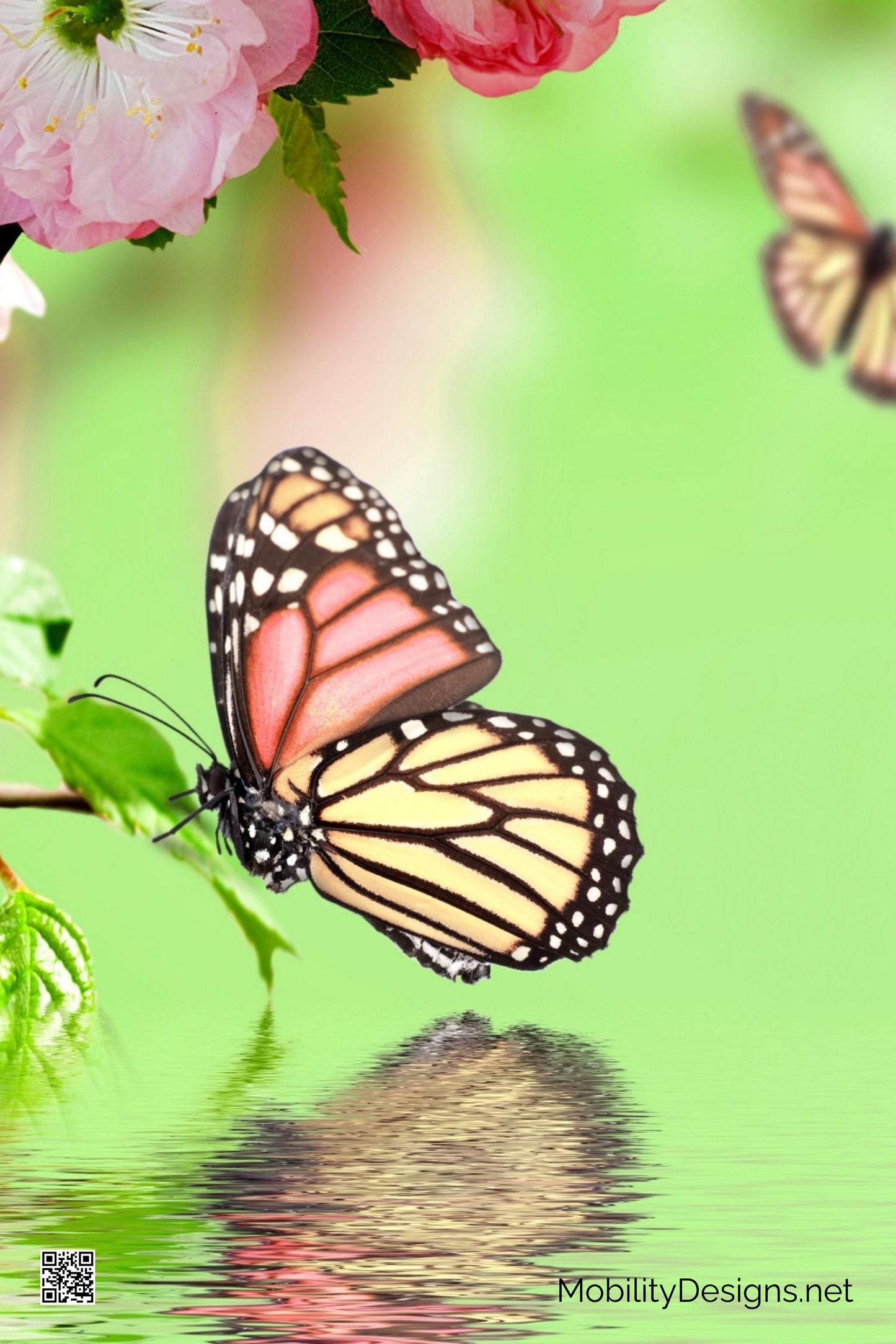 Butterfly scooter banner