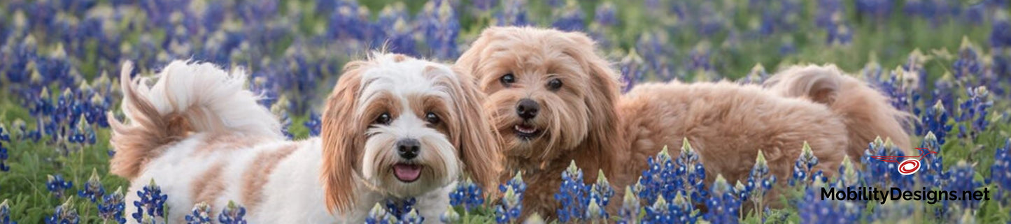 Puppies and flowers walker
