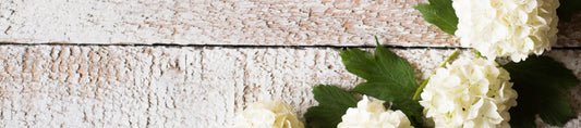 White Roses